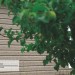 Сайдинг Ю-Пласт TIMBERBLOCK Пихта (Тимберблок) Cахалинская купить в Череповеце